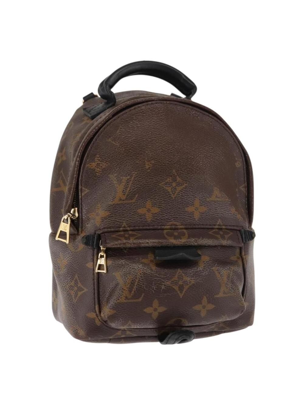Louis Vuitton Palm Springs Mini #344437L54B